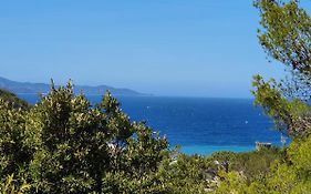 Les Gîtes Du Cap Corse Nonza